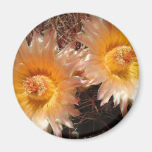 barrel cactus magnet
