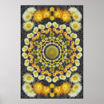 BARREL CACTUS MANDALA 1 PRINT
