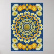 Barrel Cactus Mandala 2 on Blue Spine Pattern Posters