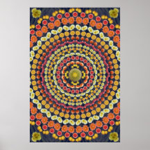 BARREL CACTUS MANDALA 3 POSTER