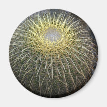 Barrel Cactus Round Refrigerator Magnet