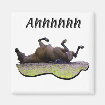 Barrel Racing, Misc. Fridge Magnets