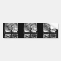 Barren Branches Tree Bumper Stickers