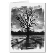 Barren Branches Tree Card