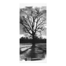 Barren Branches Tree Rack Cards