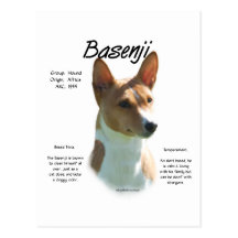 Basenji (chestnut) History Design Post Card