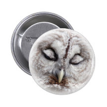 Bashful Barred Owl Pinback Button