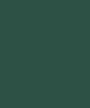 Basic AA Crew Neck T-Shirt Forest Green