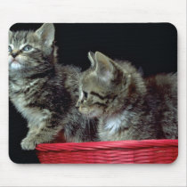 Basket Case 2 mousepads