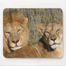 Basking in the Sun - Mousepad
