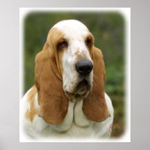 Basset Hound 9P013D-30_2 Posters
