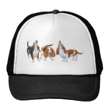 Basset Hound Trio Hat