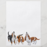 Basset Trio Flyer