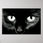 Bast Poster