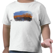 Bathed in sunset light the Calamus River Tee Shirts