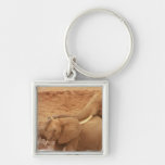 Bathing Baby Elephant Keychain