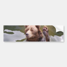 Bathing Brown Bear  Bumper Sticker