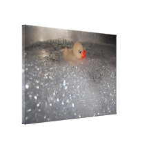 Bathtub Gallery Wrapped Canvas