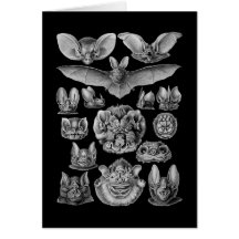 Bats Greeting Card