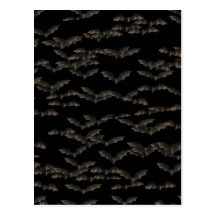 Bats Post Card