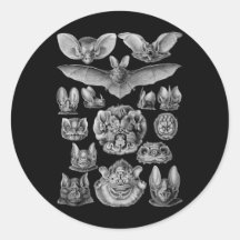 Bats Sticker
