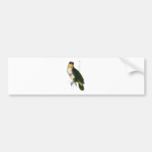 Bay-Headed Parrot by Edward Lear Bumper Stickers