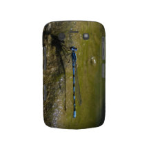 BB Damselfly - Blackberry Case-Mate Case