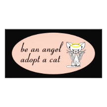 Be An Angel Adopt A Cat Photocard Photo Cards