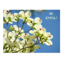 BE JOYFUL! Post Card White DOGWOOD Tree Flowers