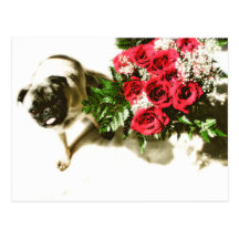 Be Mine Post Cards