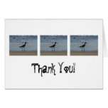 BEABIR Beach Birdie Greeting Cards
