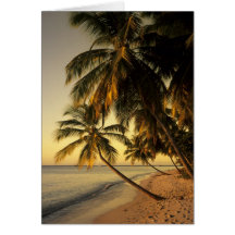 Beach at sunset, Trinidad Card