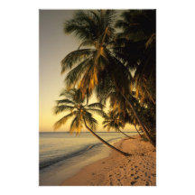 Beach at sunset, Trinidad Photograph
