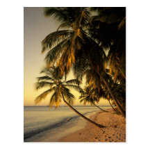 Beach at sunset, Trinidad Postcards