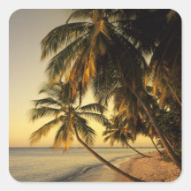 Beach at sunset, Trinidad Sticker