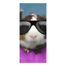 Beach bum guinea pig custom rack card