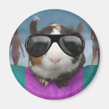 Beach bum guinea pig magnet