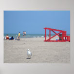 Beach Fun poster
