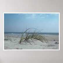 Beach Grass Print