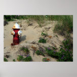 Beach Hydrant Print