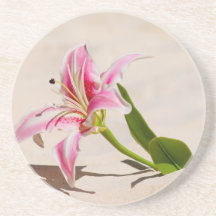 Beach Lily Coaster