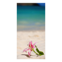Beach Lily Photo Card