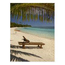 Beach, palm trees & lounger post cards