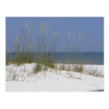 Beach Post Card