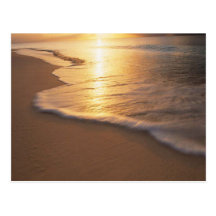 beach scene postcards