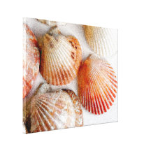 Beach Seashells Art Canvas Print