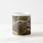 Beach Stones Mugs