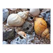 Beach Trinkets Post Cards