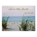 Beachy Wedding  - Save the Date Card Post Cards