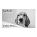 Beagle Dog Pet Grooming business card